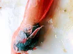 -嘉年华大酒店琴湾-自助餐厅