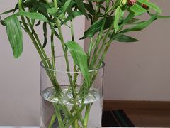 -宜家·瑞典风味餐厅(武汉荟聚中心店)