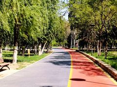 -大兴滨河森林公园