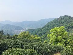 -西湖风景区十里琅珰-五云山