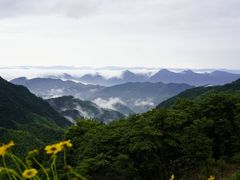 -东白山