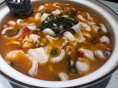 -青花椒花椒鱼(合生汇店)