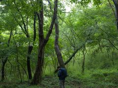 -南京市无想山景区