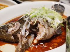 清蒸老虎斑-徐记海鲜(大明宫|北二环店)