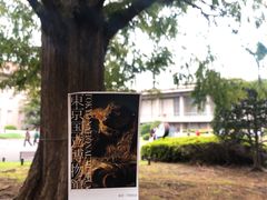 -东京国立博物馆