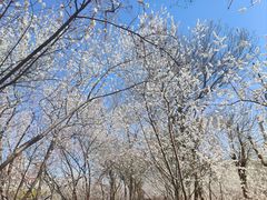 -桃花堤公园