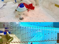 -广州热雪奇迹