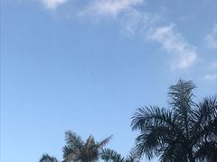 -东部华侨城