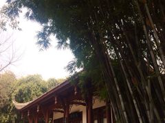 iphone_upload_pic-望江楼公园