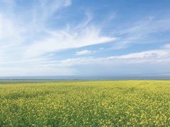 -青海湖国家重点风景名胜区
