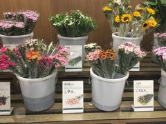 -鹿岛会员店 (龙湖三千集天街店)