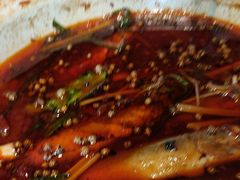 -樽宴酒楼·地道川菜·品质宴请