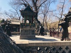 -晋祠公园