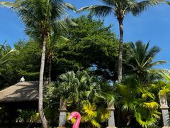 -海南清水湾莱佛士酒店