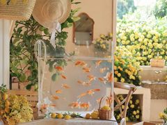 -HERRE·FARM 赫尔露营农场·团建聚会包场