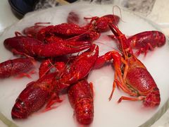 精品冰镇龙虾-红盔甲·小龙虾(天钥桥店)