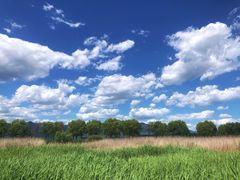 -野鸭湖国家湿地公园