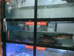 -万和源炝锅城·活鱼现炝(文艺北路店)