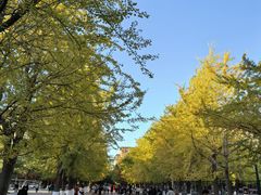 -辽宁大学(崇山校区)