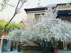 -天津五大道文化旅游区