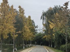 -白鹭湾湿地公园