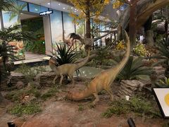 -湖南省地质博物馆