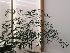 -Onirii Coffee(长乐路店)