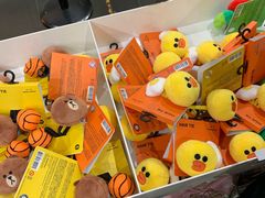 -line friends(明洞旗舰店)