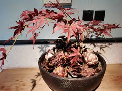 -黛瓦里巷(南京东路店)