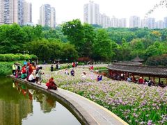 -龙头寺公园