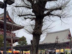 -浅草寺