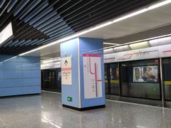 -大龙山(地铁站)