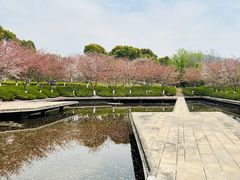 -诺贝尔湖公园