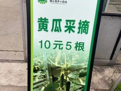 -苏州太湖西山岛开心农场