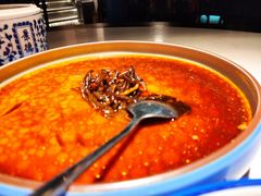 -院8里·小聚园老川菜(九眼桥店)