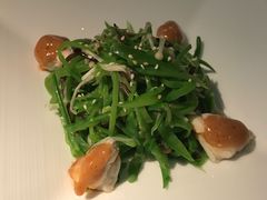 -唐茶苑(Soho)