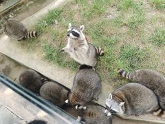 -辛玛王国游乐园