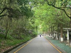 -黔灵山公园