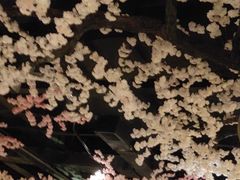 -蓝鲸湾汤泉(包河店)