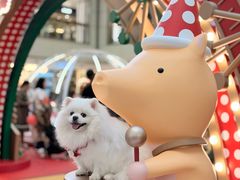 -新城市广场