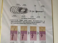-7mall美食潮地标