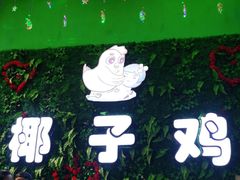 -南国锋味椰子鸡(瀚海店)