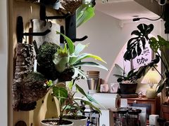 -本無咖啡·BeanWood Coffee
