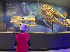 -国家自然博物馆