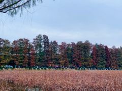 -东湖听涛景区
