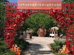 -北京西山国家森林公园