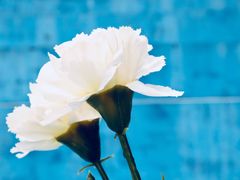 -广东外语外贸大学(白云山校区)