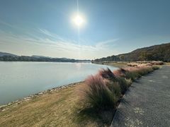 -羊山湖公园