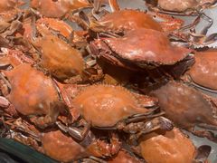 -星伦多自助料理·涮烤一体(嘉兴八佰伴店)