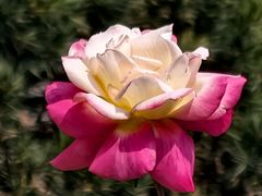 -盆满钵满·国家非遗传承(云台店)